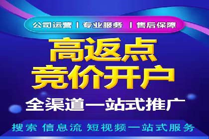 某某sem公司案例解析：如何运用SEM策略助力企业增长